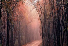 B体育网页版-全球范围内备受关注的体育宿敌对决的简单介绍